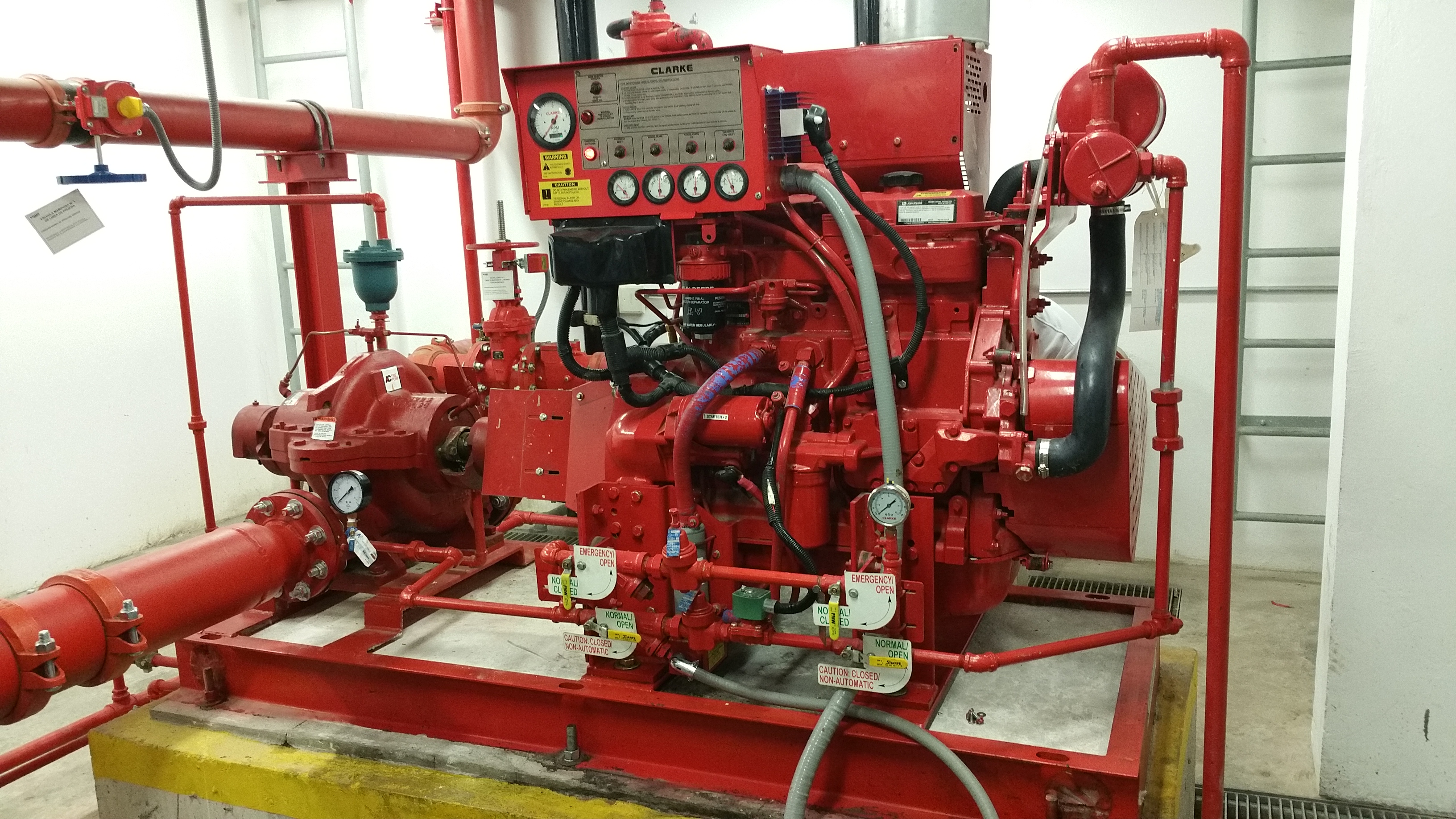 37387990795_dd1b7788a9_b